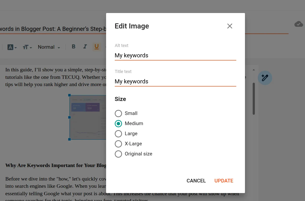 Image editing setting in Blogger
